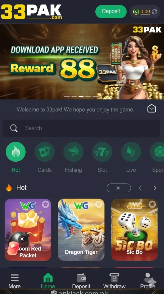 33 Pak Game interface