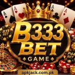 B 333 Game
