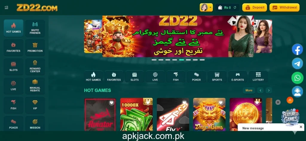 ZD22 Game interface