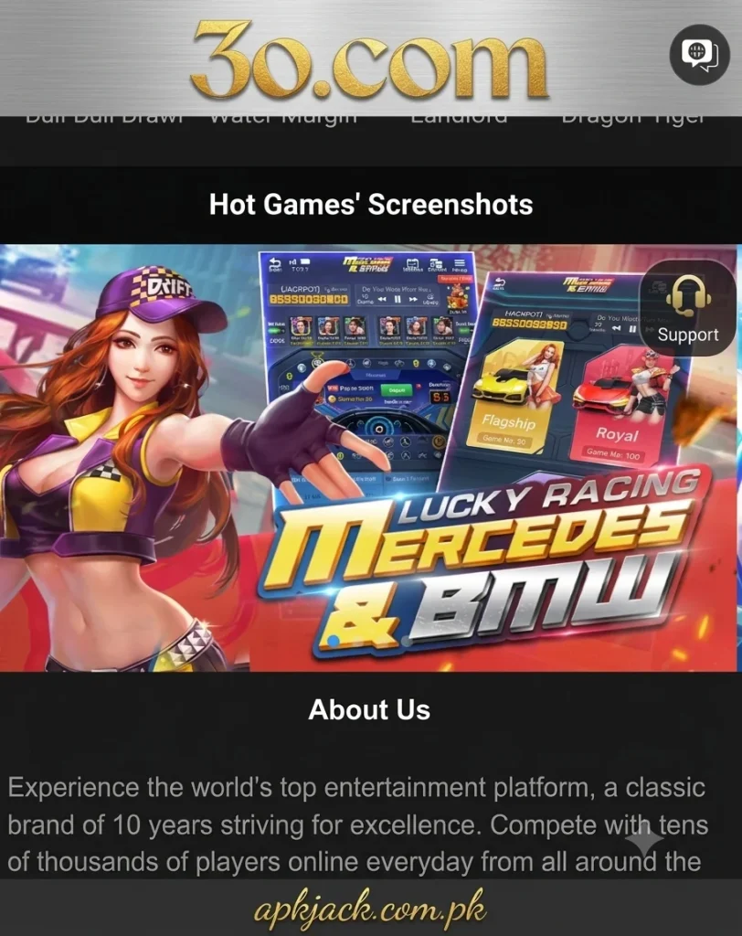 30 Game interface