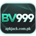 BV999 Game Icon Jazz Cash and easy paisa withdraws