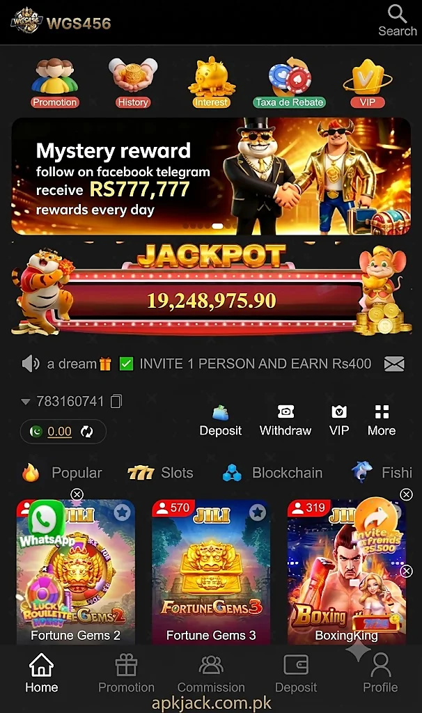WGS456 Game Home page